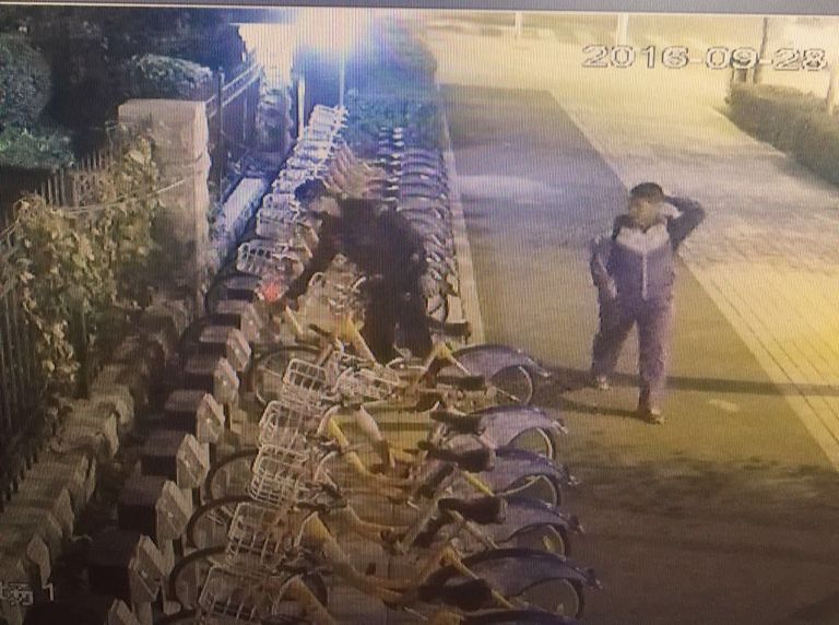 伟德体育 - 综合体育赛事平台|奥体中心相助同伴