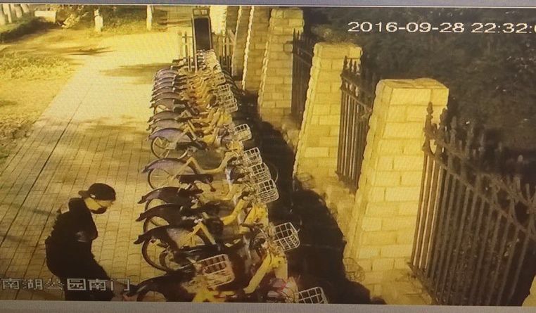 伟德体育 - 综合体育赛事平台|奥体中心相助同伴