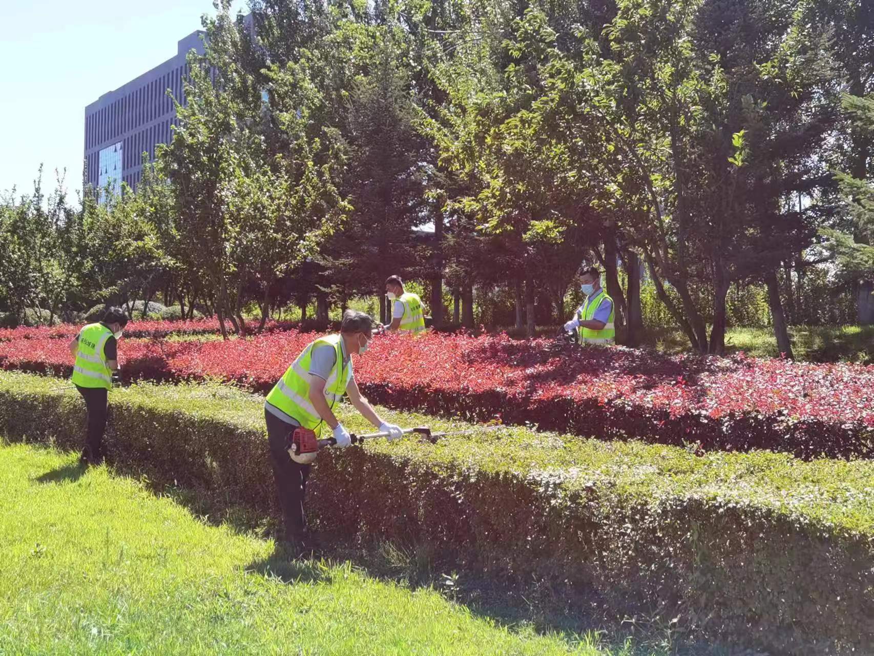 伟德体育 - 综合体育赛事平台|奥体中心相助同伴