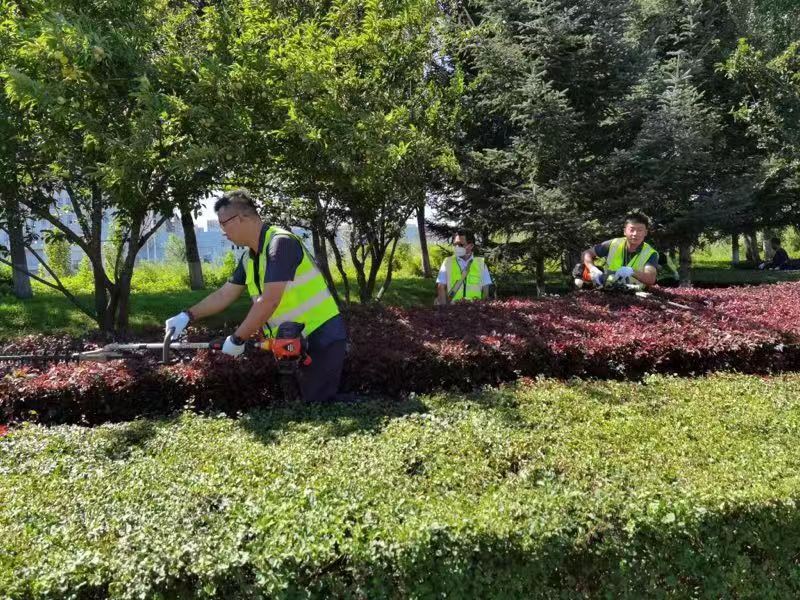 伟德体育 - 综合体育赛事平台|奥体中心相助同伴