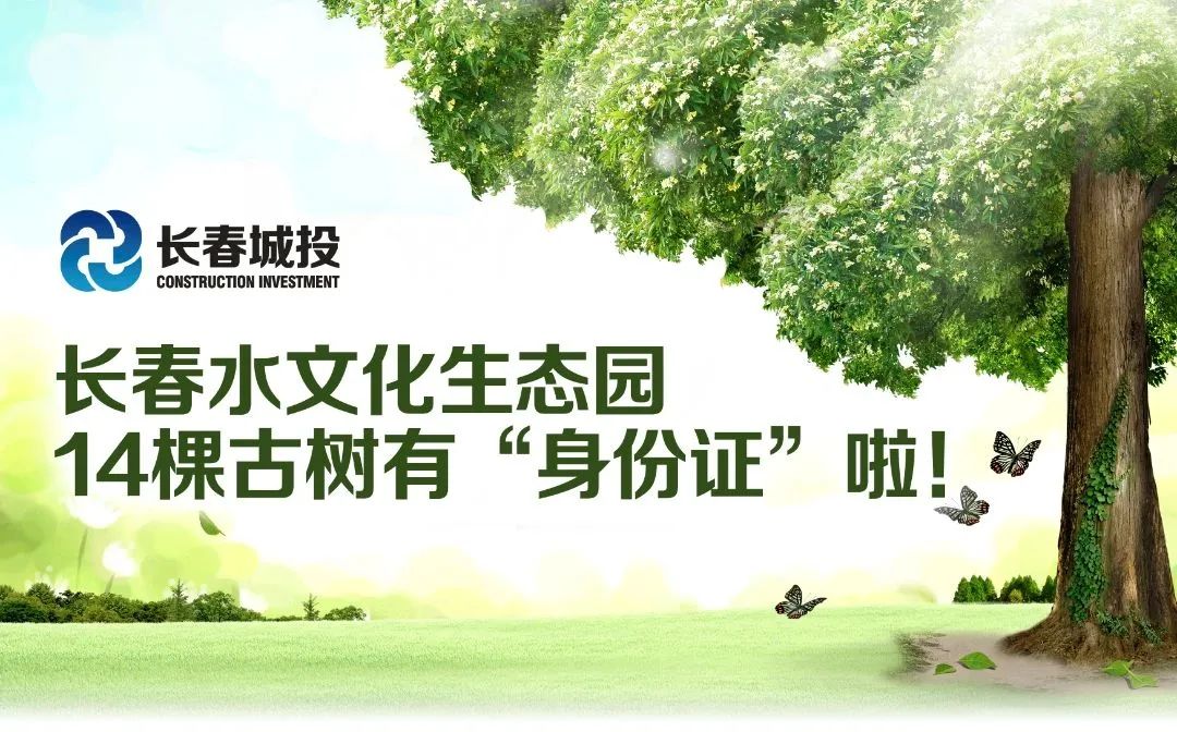 伟德体育 - 综合体育赛事平台|奥体中心相助同伴