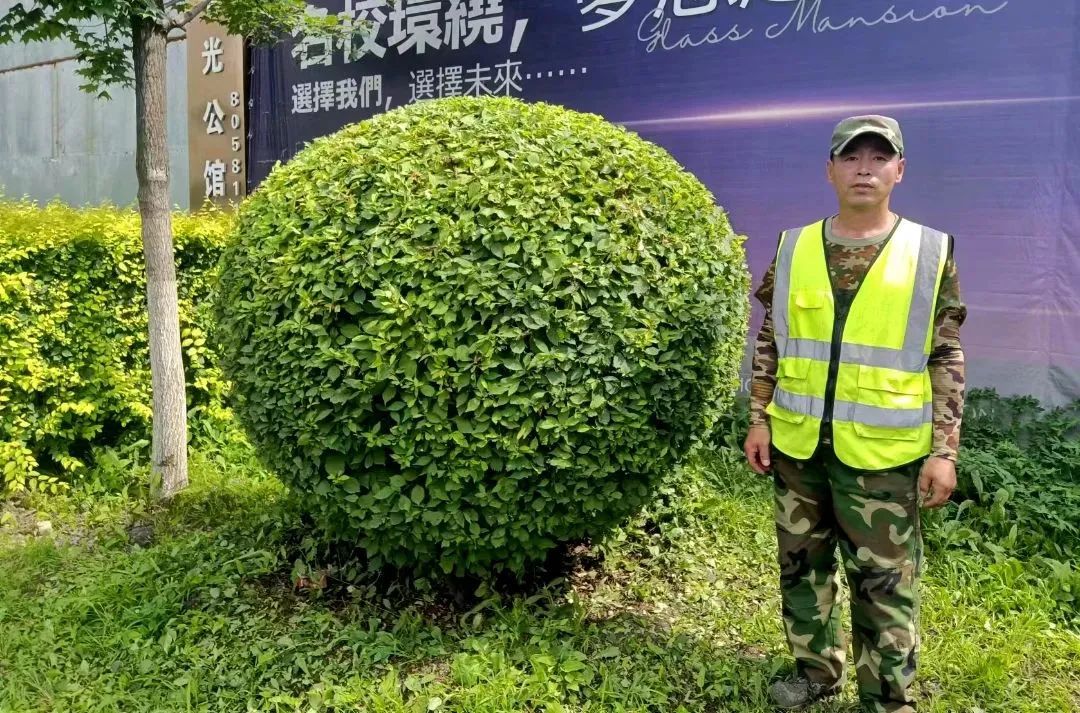 伟德体育 - 综合体育赛事平台|奥体中心相助同伴